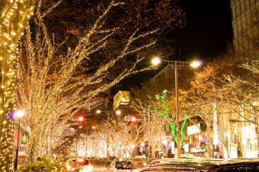 Best Christmas Date Spots with illuminations in Tokyo
