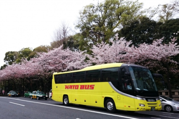 電車、バスを有効活用！東京観光に便利な移動手段