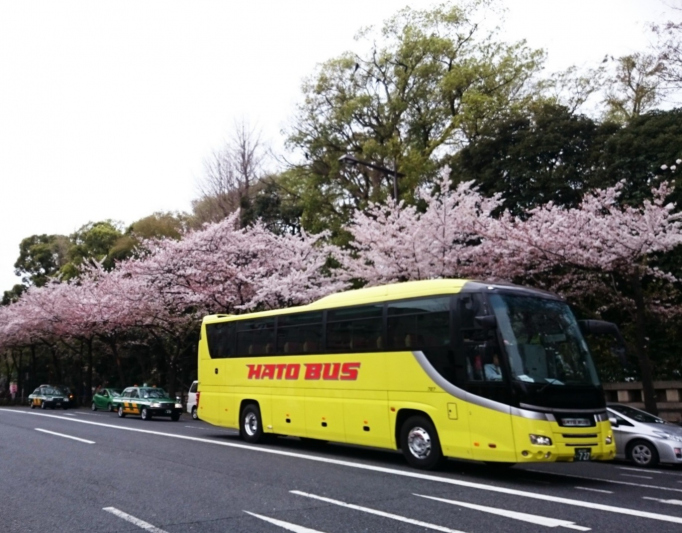 電車、バスを有効活用！東京観光に便利な移動手段