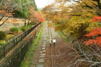 橫濱紅葉季節的推薦景點