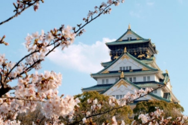 Where to See Sakura in Osaka? 6 Cherry Blossom Viewing Spots