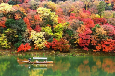 교토의 가을 풍경을 감상할 수 있는 최고의 장소.