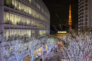 크리스마스에 어디로 갈까? 도쿄의 크리스마스 데이트 추천 명소