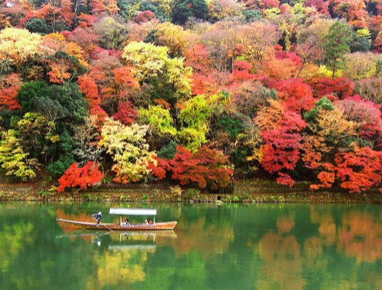 秋に京都にきたら！秋の京都の観光スポット