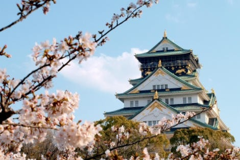 在大阪哪里看樱花？6个赏樱地点