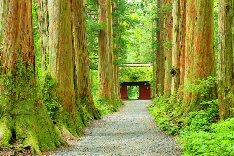 长野县的最佳旅游景点，如善光寺