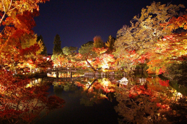 Recommended Places to See Autumn Leaves in Kyoto Area