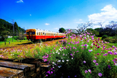 Kanto Travel Destinations for Spring! 6 unique spring outings