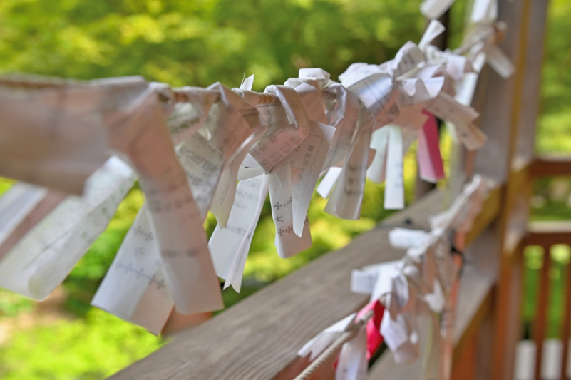 願いを込めて結ばれたおみくじ