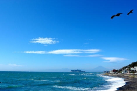 ゴールデンウィークはここへ！ おすすめ神奈川観光スポット