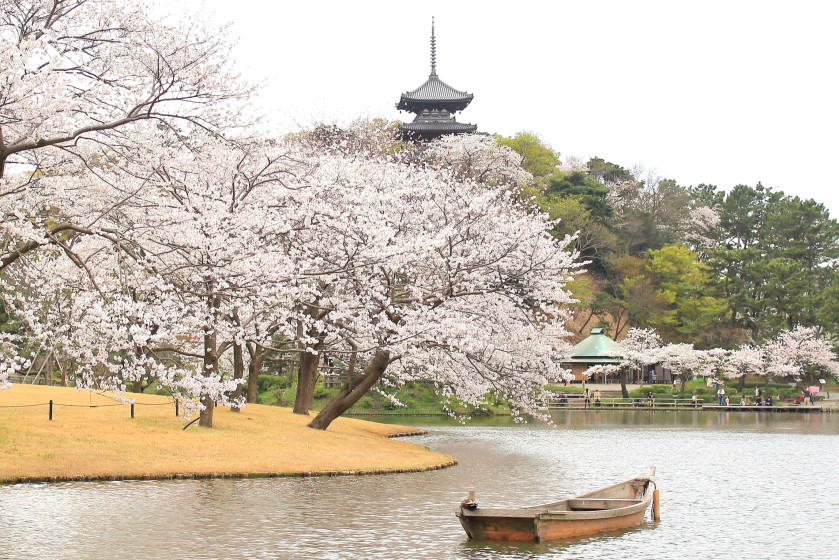 三溪園  大池周辺