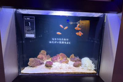 水槽ひとつひとつに開運メッセージ