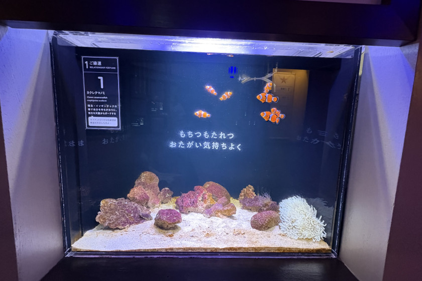 水槽ひとつひとつに開運メッセージ