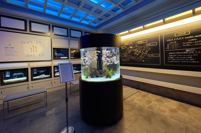 横浜開運水族館