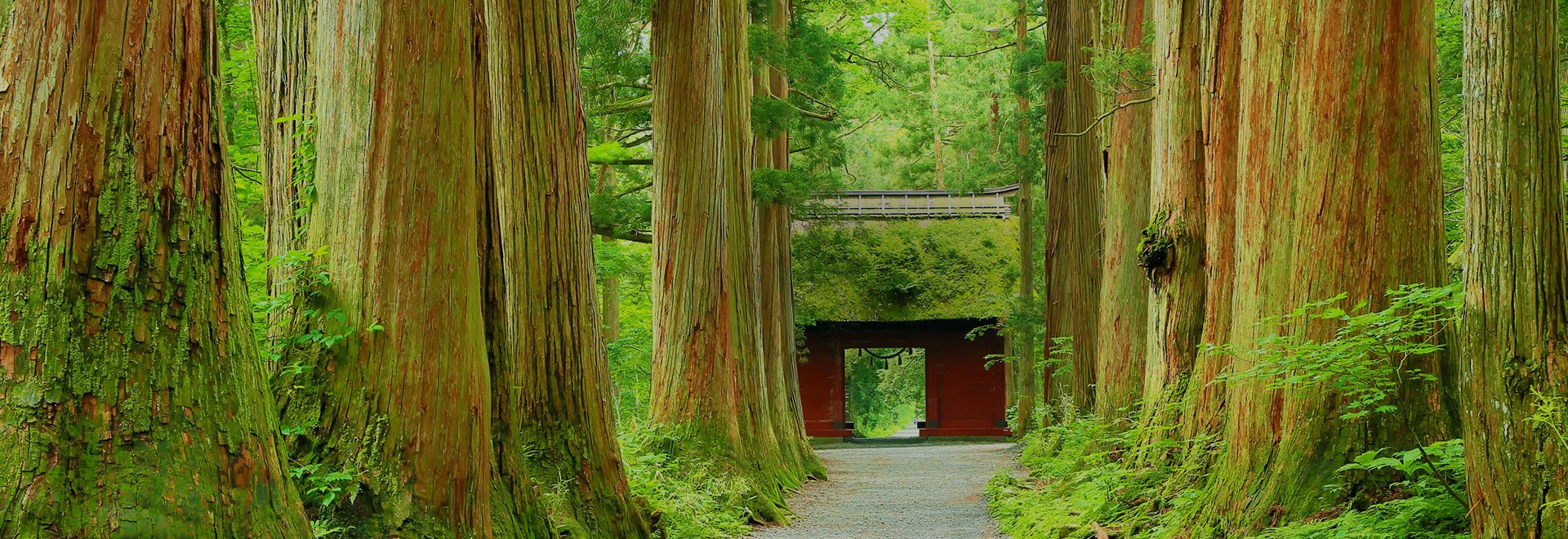 四季折々に日本の美しさを感じられる「信州」の玄関口、長野駅善光口から徒歩２分の好立地