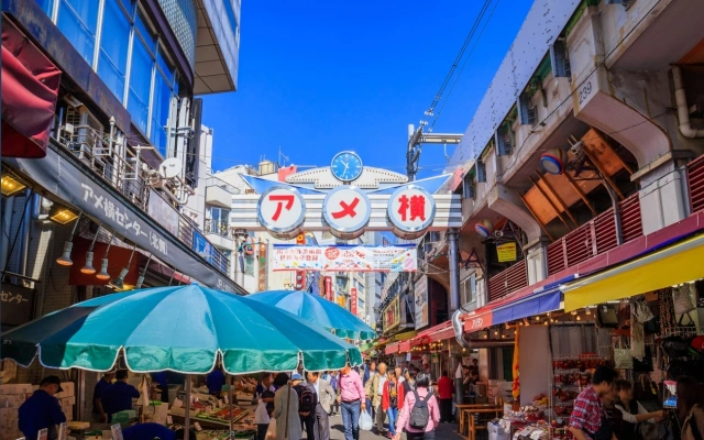 上野アメヤ横丁