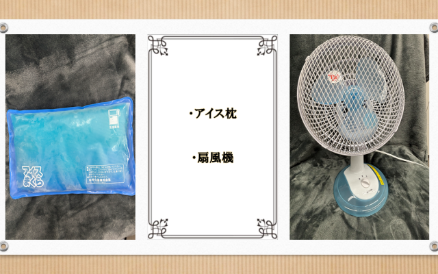 写真：レンタルアイテム