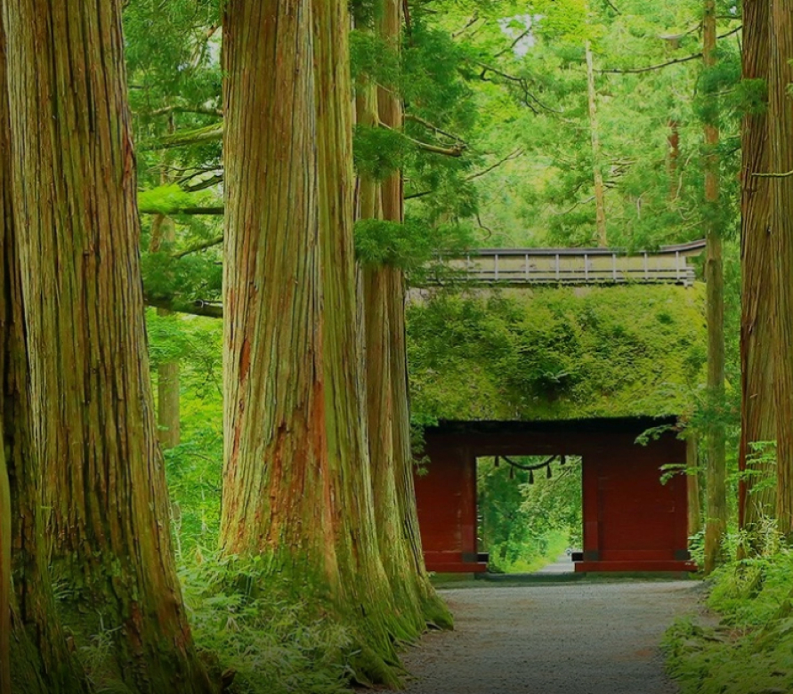 相鉄フレッサイン 長野駅善光寺口【公式】 | 長野駅善光寺口徒歩2分の
