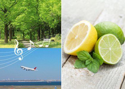 香りのお出迎え