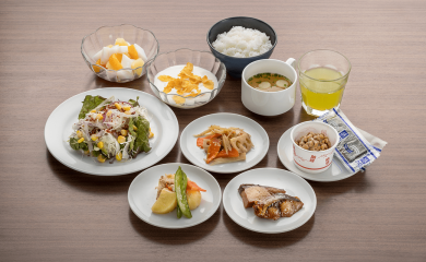 A sample dish -Japanese- 