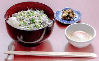멸치 덮밥(플레이팅 예)