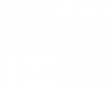 相鐵FRESA INN 大阪難波站前