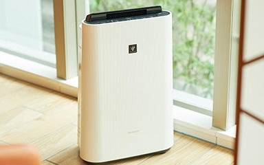 Air purifier with humidifying function