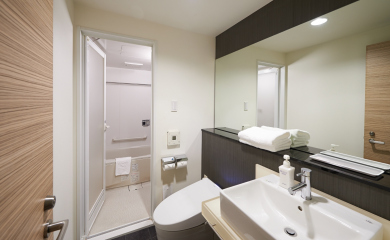Bathroom (Deluxe Twin)