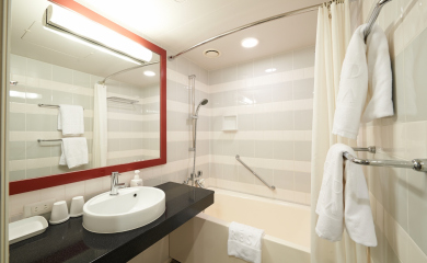 Bathroom (Premium Twin Room(annex))