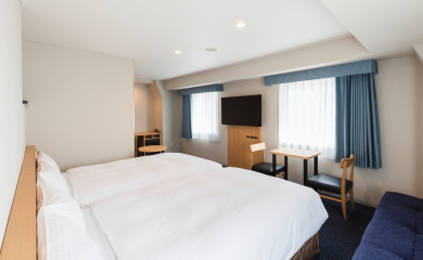 Premium Twin Room (annex)