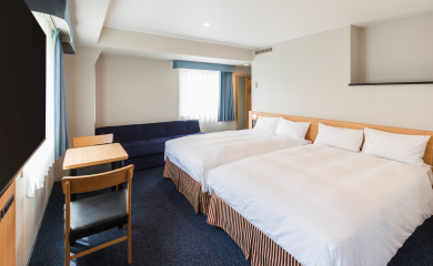 Premium Twin Room (annex)