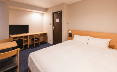Deluxe Double Room (annex)