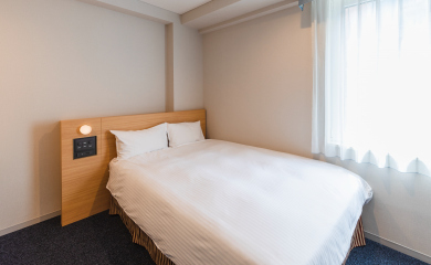 Superior Double Room(annex)