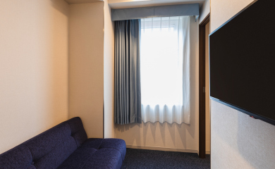Deluxe Double Room (annex)