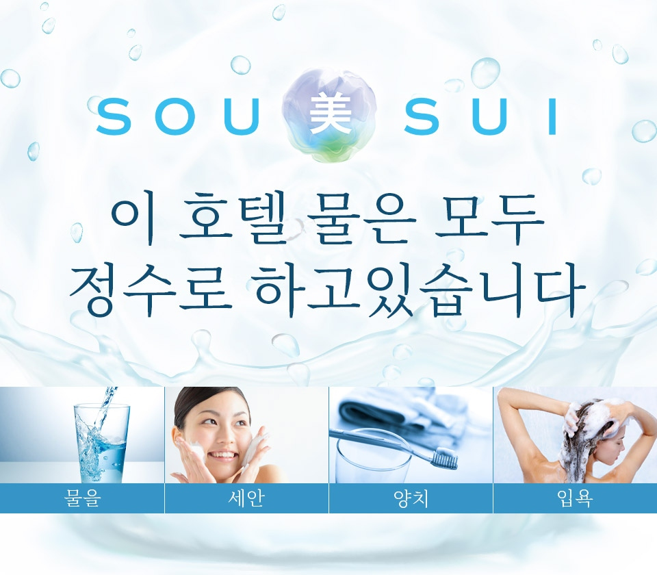 SOUBISUI