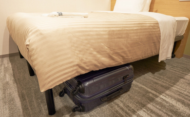 ANNEX Deluxe Double Room