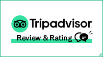 Tripadvisor Review & Rating