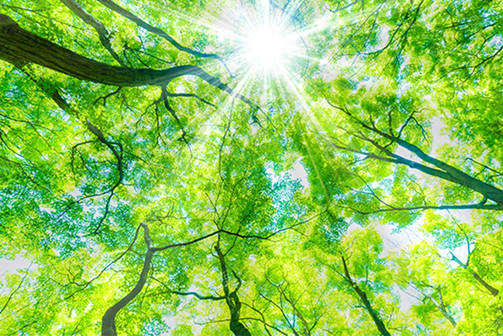 カーボンニュートラルへの取り組み