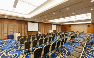 1F Main Conference Room　Fuyo　Entire room: Theater style (maximum 240 seats)