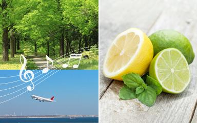 A WELCOME OF FRAGRANCE AND MUSIC