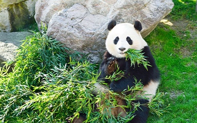 観光の拠点に最適